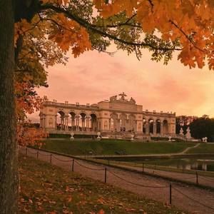 Meet your Posher, Bilingual